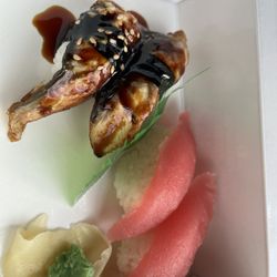 Eel sushi and tuna sushi