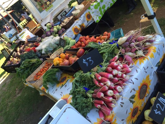 Wallingford Farmers Market by null