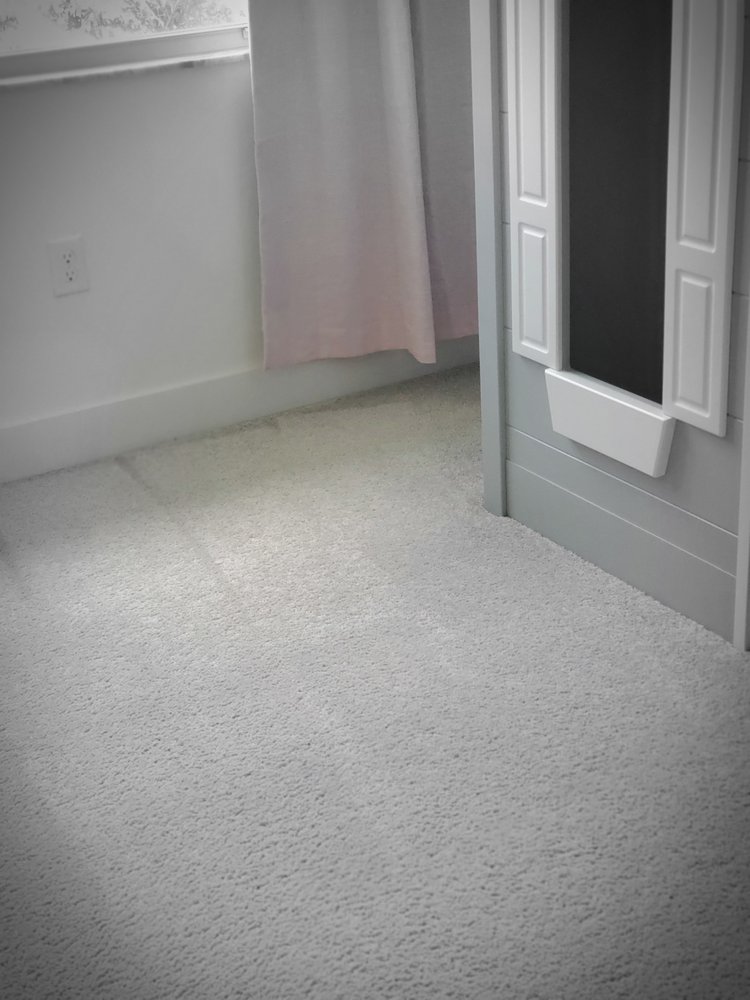 DOLPHIN CARPET CLEANING & RESTORATION Updated March 2024 105 Photos