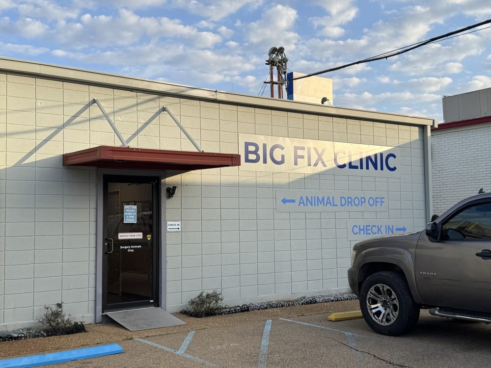 Mississippi Spay and Neuter - social services organization in Richland, MS