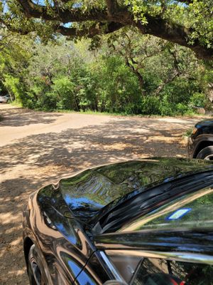 Barton Creek Greenbelt by null