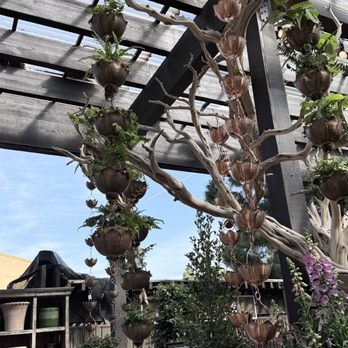 Roger's Gardens - Nurseries & Gardening Near Me - Corona Del Mar, California