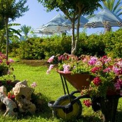 Thomas A Rak Landscaping - Thomas A. Rak Landscaping, Inc