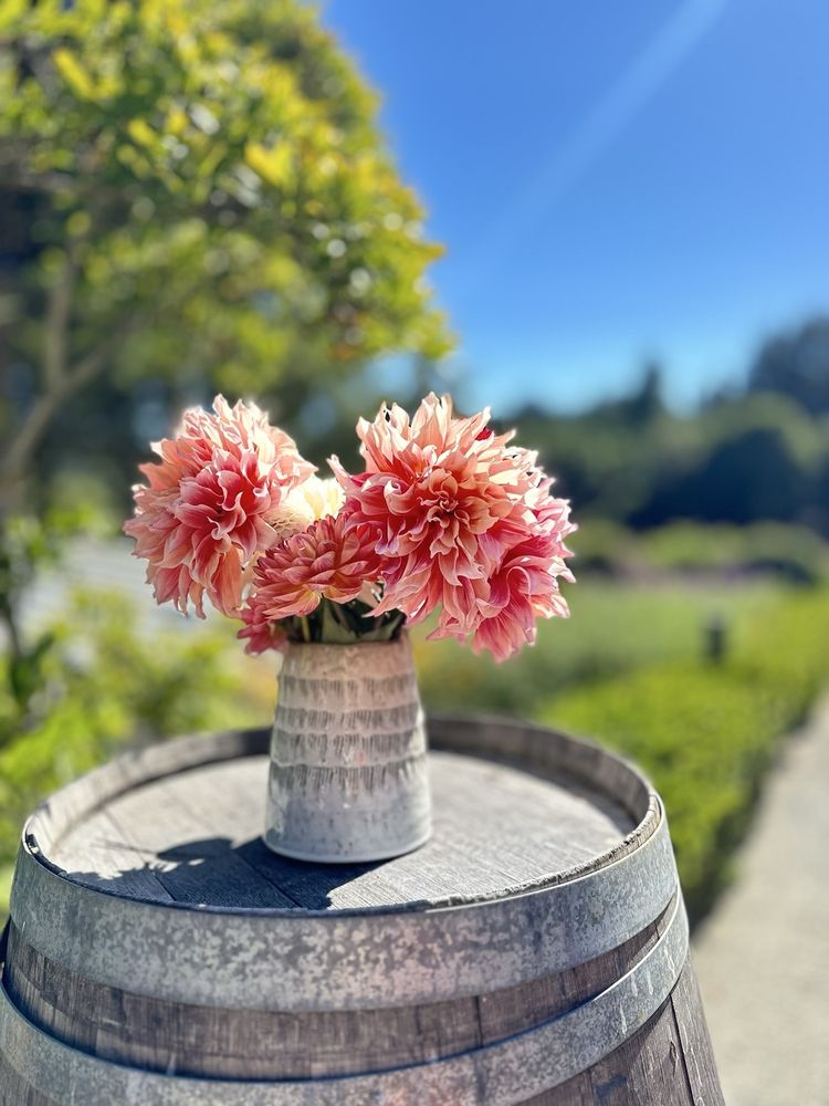 Charmant Vineyards Logo