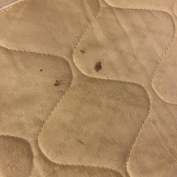 Courtyard by Marriott Birmingham Hoover - Blood on the mattress (was in multiple areas) - Hotels Near Me - Hoover, Alabama Courtyard by Marriott Birmingham Hoover - Blood on the mattress (was in multiple areas) - Hotels Near Me - Hoover, Alabama
