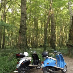 Ride In Tours - Traveled on our scooters from Tours to Chateau Chambord.