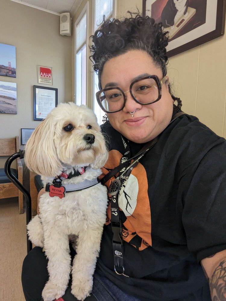 PINOLE PET HOSPITAL Updated August 2024 106 Photos & 151 Reviews