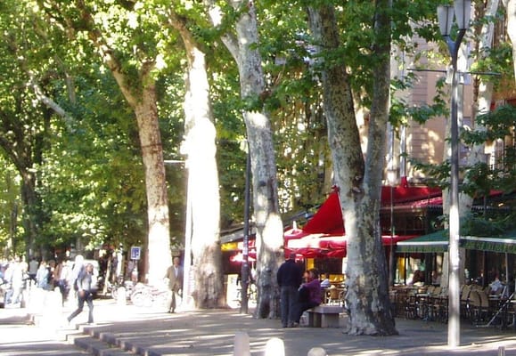 Bar Le Grillon by null