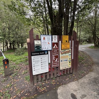 Alfred A. Loeb State Park - Important information - Hiking Near Me - Brookings, Oregon Alfred A. Loeb State Park - Important information - Hiking Near Me - Brookings, Oregon