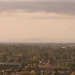 Panorama Nature Preserve - DTLA!