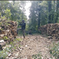 Wiley's Landscaping & Tree Services - Call For Free Estimates!
(336) 681-2985
