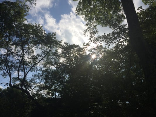 Bubbling Brook Ice Cream by null