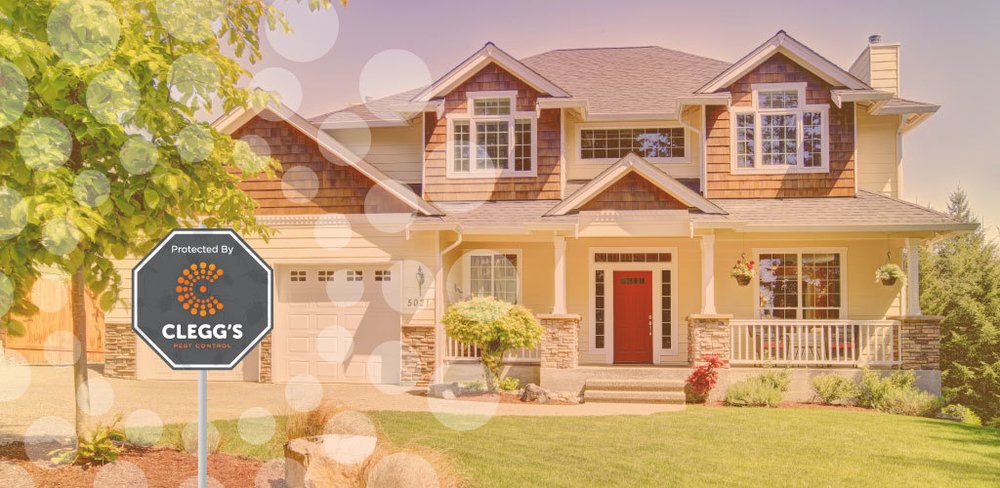 CLEGG’S PEST CONTROL - Updated December 2024 - 864 Rivit St, Greenville