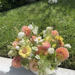 Shine Floral