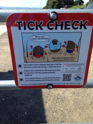 Taylor Mountain Regional Park by null