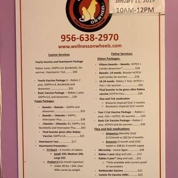 Helga's Pet Grooming Plus - Pet Groomers Near Me - San Antonio, Texas Helga's Pet Grooming Plus - Pet Groomers Near Me - San Antonio, Texas