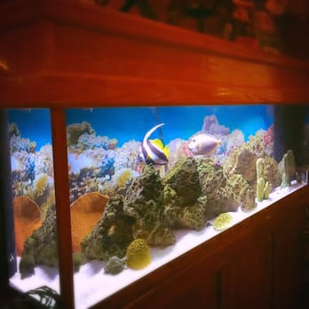 The Reef - Fish Tank in the foyer - Seafood Near Me - Saint Augustine, Florida