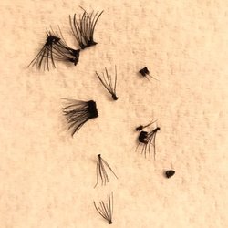 Boeau Belle Salon & Spa - Some of the carnage from my eyelash extensions. The amount of glue used was unreal.