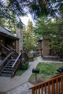 LOGE Alta Crystal by null