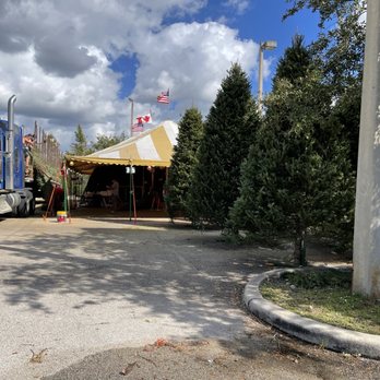 Biggest X-Mas Tree In Florida - Christmas Trees Near Me - Pembroke Pines, Florida Biggest X-Mas Tree In Florida - Christmas Trees Near Me - Pembroke Pines, Florida
