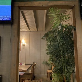 The Silver Moon - a television and a potted plant - Bars Near Me - Eatonton, Georgia The Silver Moon - a television and a potted plant - Bars Near Me - Eatonton, Georgia