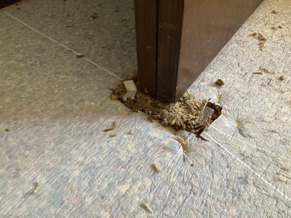 COLORADO FLOORING 29 Photos & 27 Reviews Carpeting 1001 S Platter