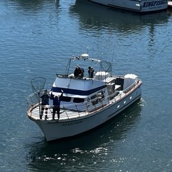 Tradewinds Charters - Whale Watching & Fishing - Oregon