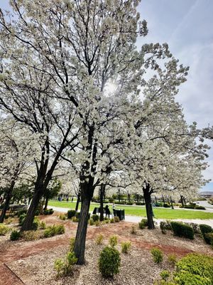 Gardens Park by null