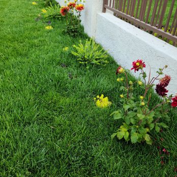 Picture Build - Landscape Architects or Designers Near Me - Sylmar, California Picture Build - Landscape Architects or Designers Near Me - Sylmar, California