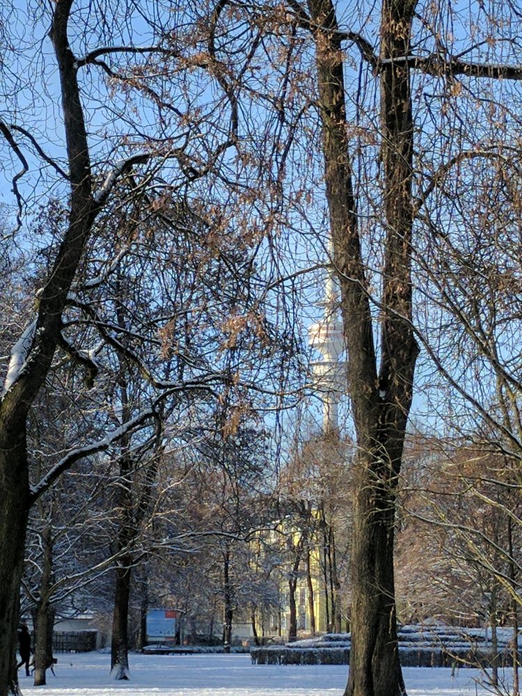 Luitpoldpark