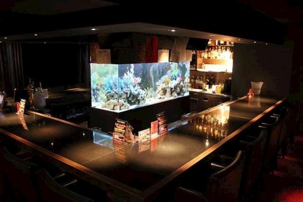 Girl S Bar A S Lounges 歌舞伎町1 15 10 歌舞伎町 新宿区 東京都 Japan