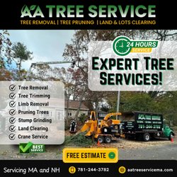 A&A Tree Service