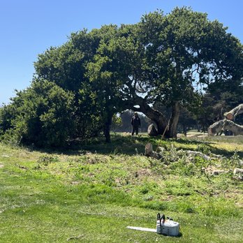 Tree Titans Tree Care - Lifting the branches that are touching the ground - Tree Services Near Me Tree Titans Tree Care - Lifting the branches that are touching the ground - Tree Services Near Me