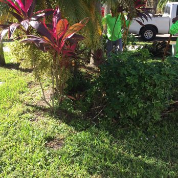 Green Grass III Landscaping - Yikes - Landscaping Near Me - Opa Locka, Florida Green Grass III Landscaping - Yikes - Landscaping Near Me - Opa Locka, Florida