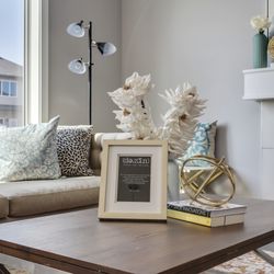 Dezin Staging