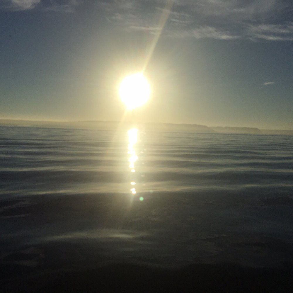All Star Fishing Charters - Fishing Near Me - Seattle, Washington