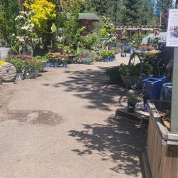 Tahoe Tree Company - Entrance