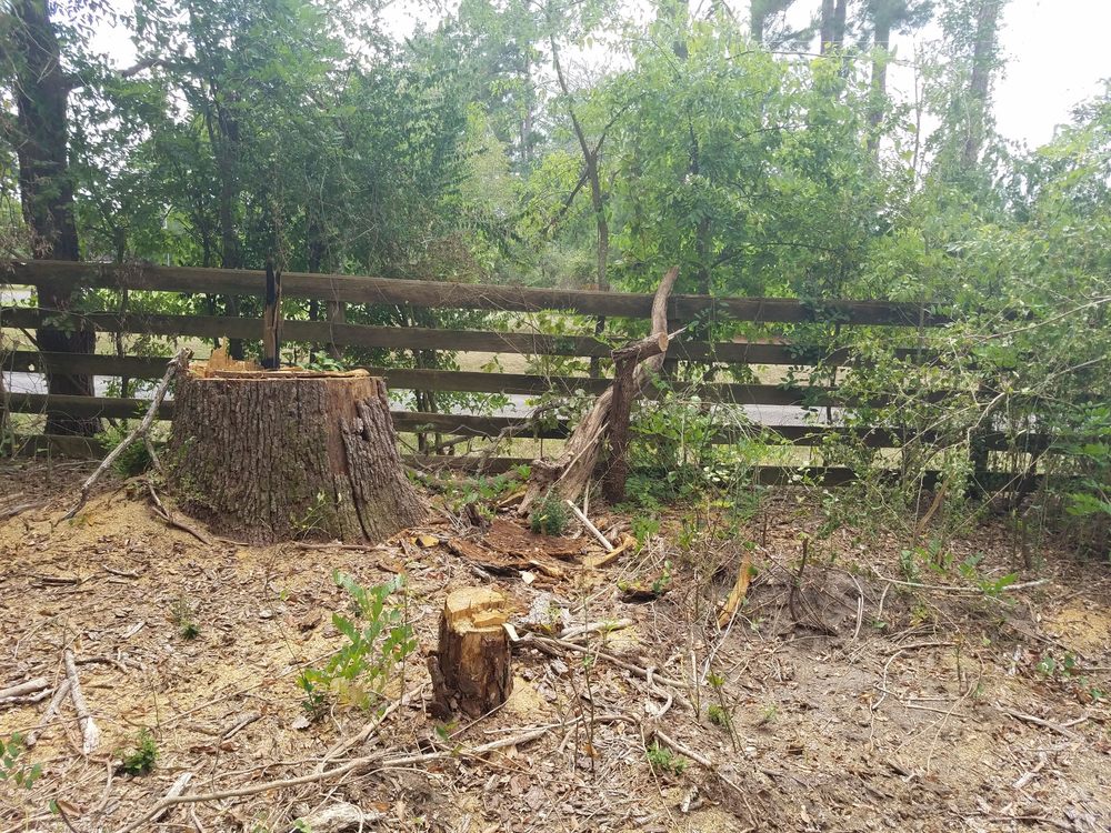 Slide of SCE Landscaping/Tree Service