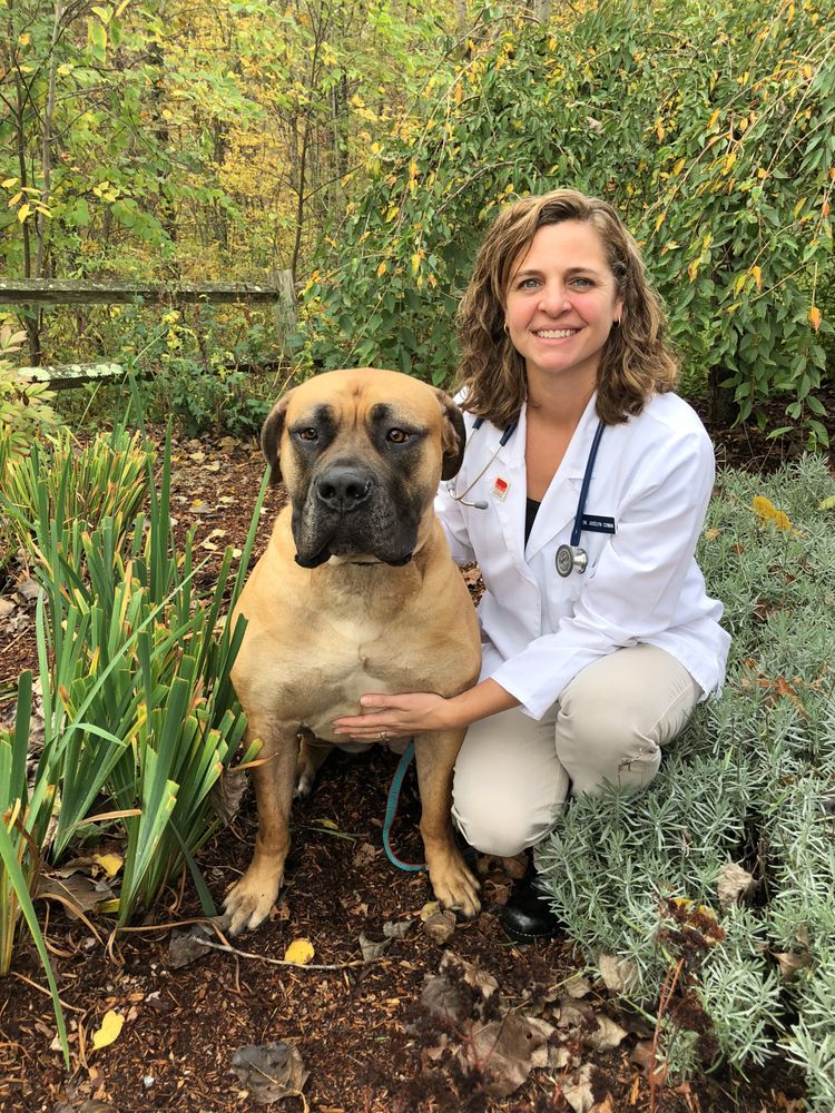 UXBRIDGE ANIMAL HOSPITAL 28 Photos & 21 Reviews Veterinarians 510 Hartford Ave W, Uxbridge