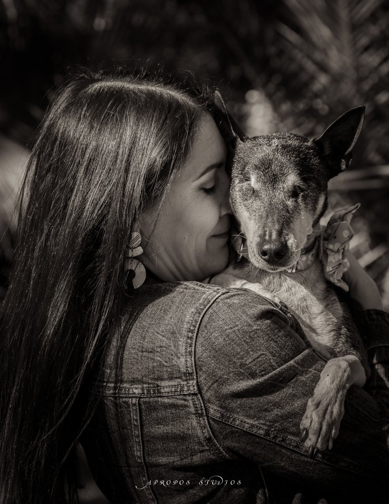 APROPOS STUDIOS Updated May 2024 Templeton, California Pet