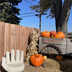 Schuster's Pumpkin Patch