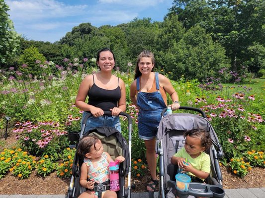 Norfolk Botanical Garden by null