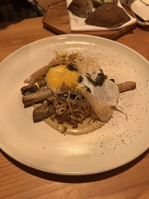 Seabird by null Seabird by null