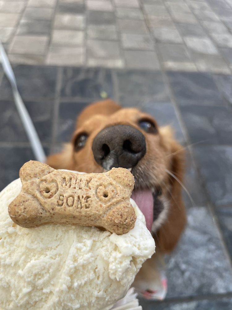 Photos for Sweet As Ice Cream Yelp