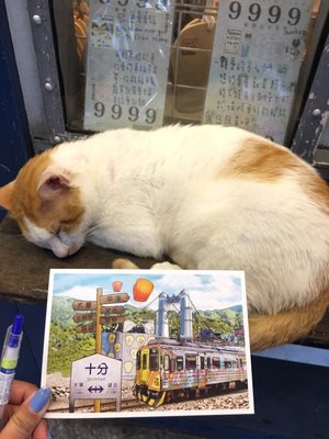 Shifen Station by null