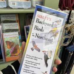 Longfellow's Greenhouses - A whole section on birding