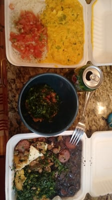 Brazilian House by null