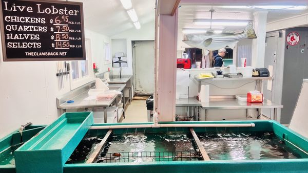 The Clam Shack by null