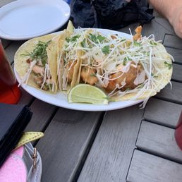 Japanese Eggplant Taco