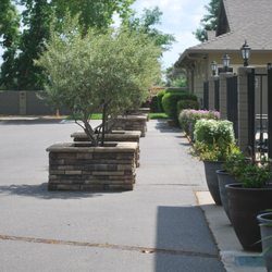 99 West RV Park - Plants & trees